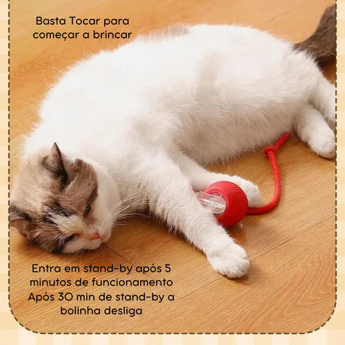 Bolinha Interativa Pet Drive - Diversão Garantida